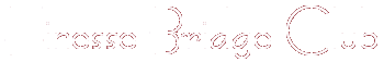 Finesse Bridge Club